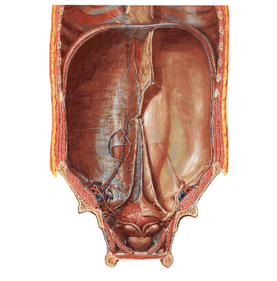 image9